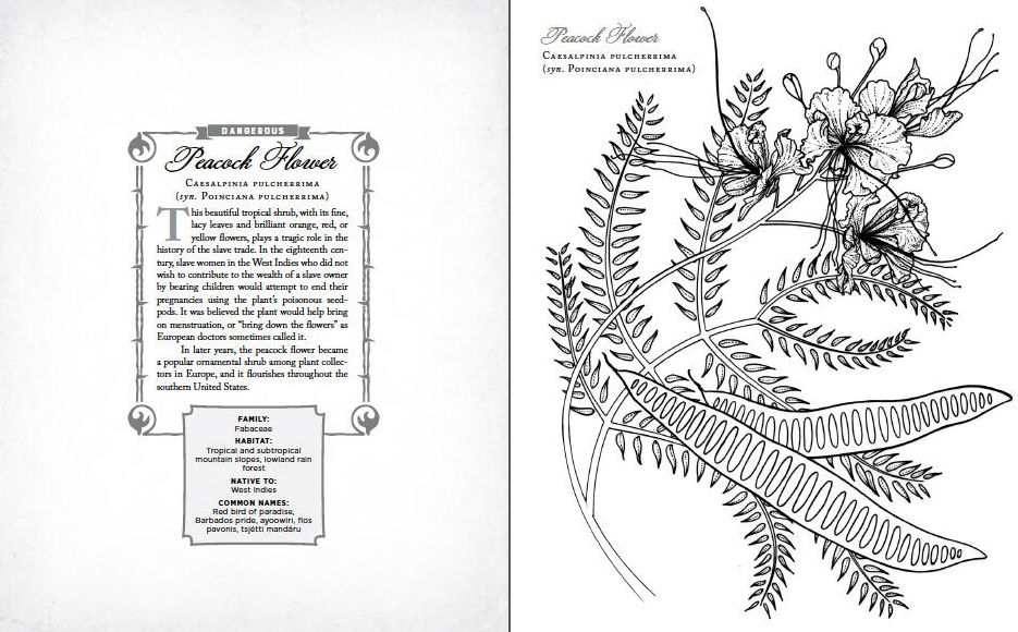 The Wicked Plants Coloring Book