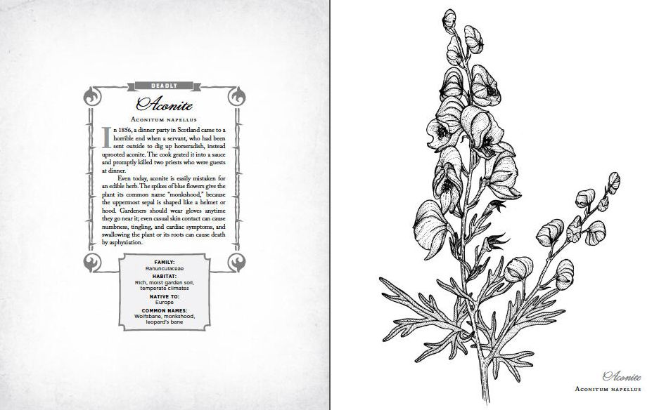 The Wicked Plants Coloring Book