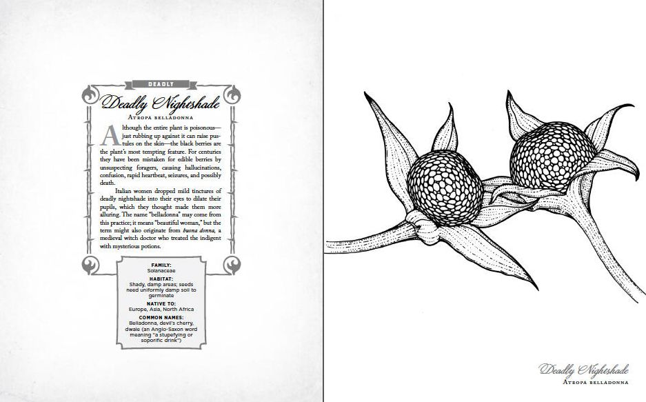 The Wicked Plants Coloring Book