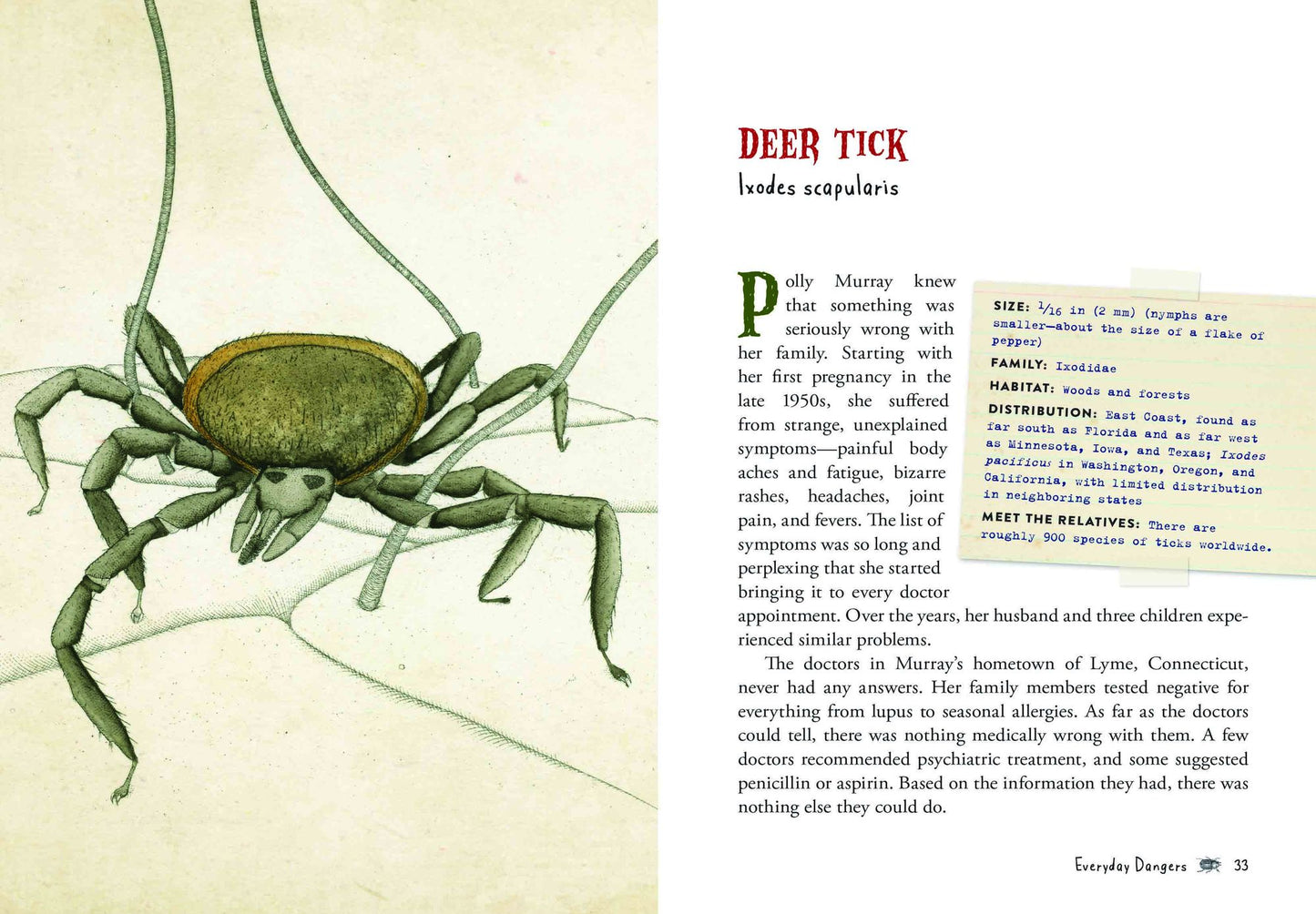 Wicked Bugs (Young Readers Edition): The Meanest, Deadliest, Grossest Bugs on Earth