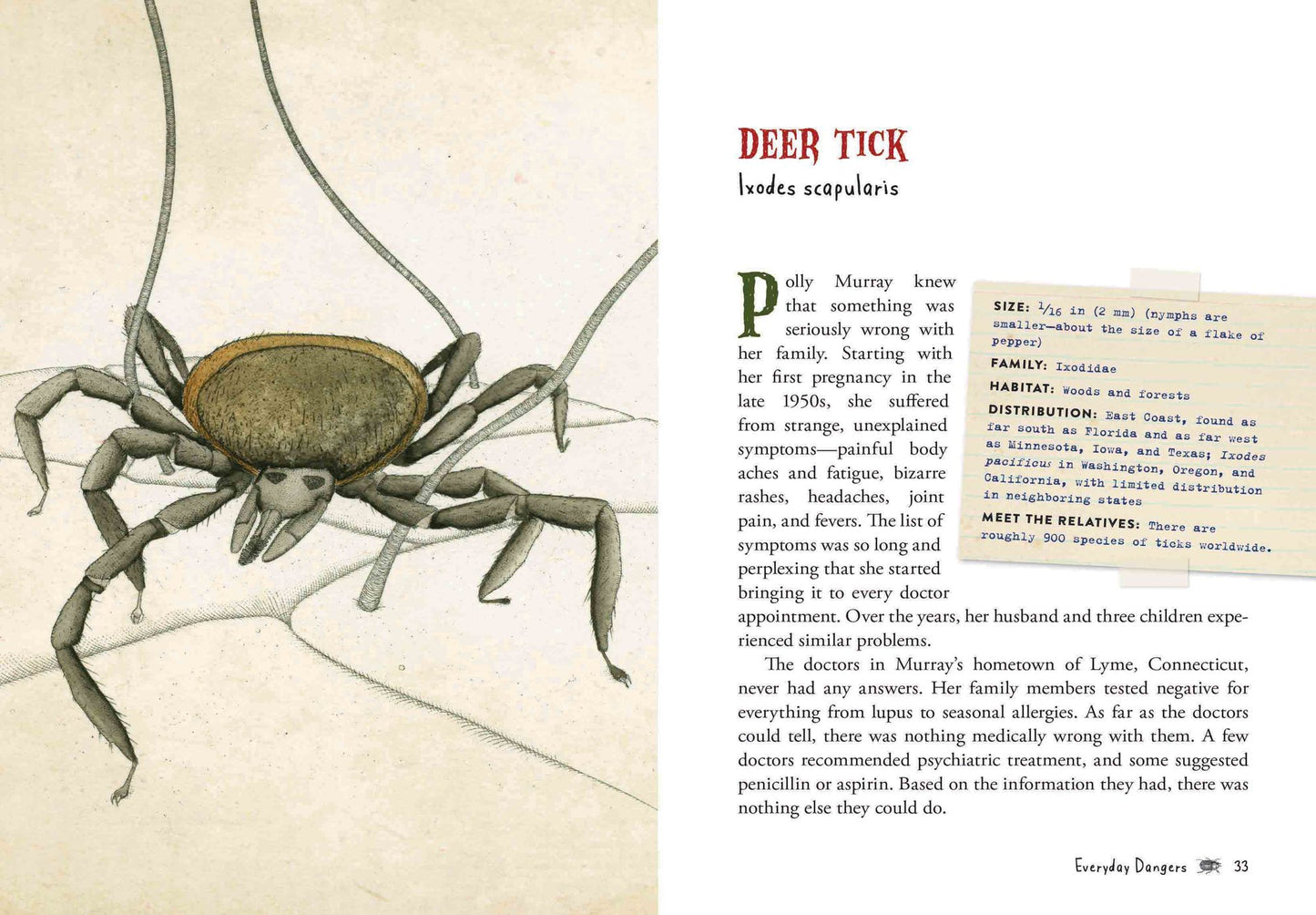 Wicked Bugs (Young Readers Edition): The Meanest, Deadliest, Grossest Bugs on Earth