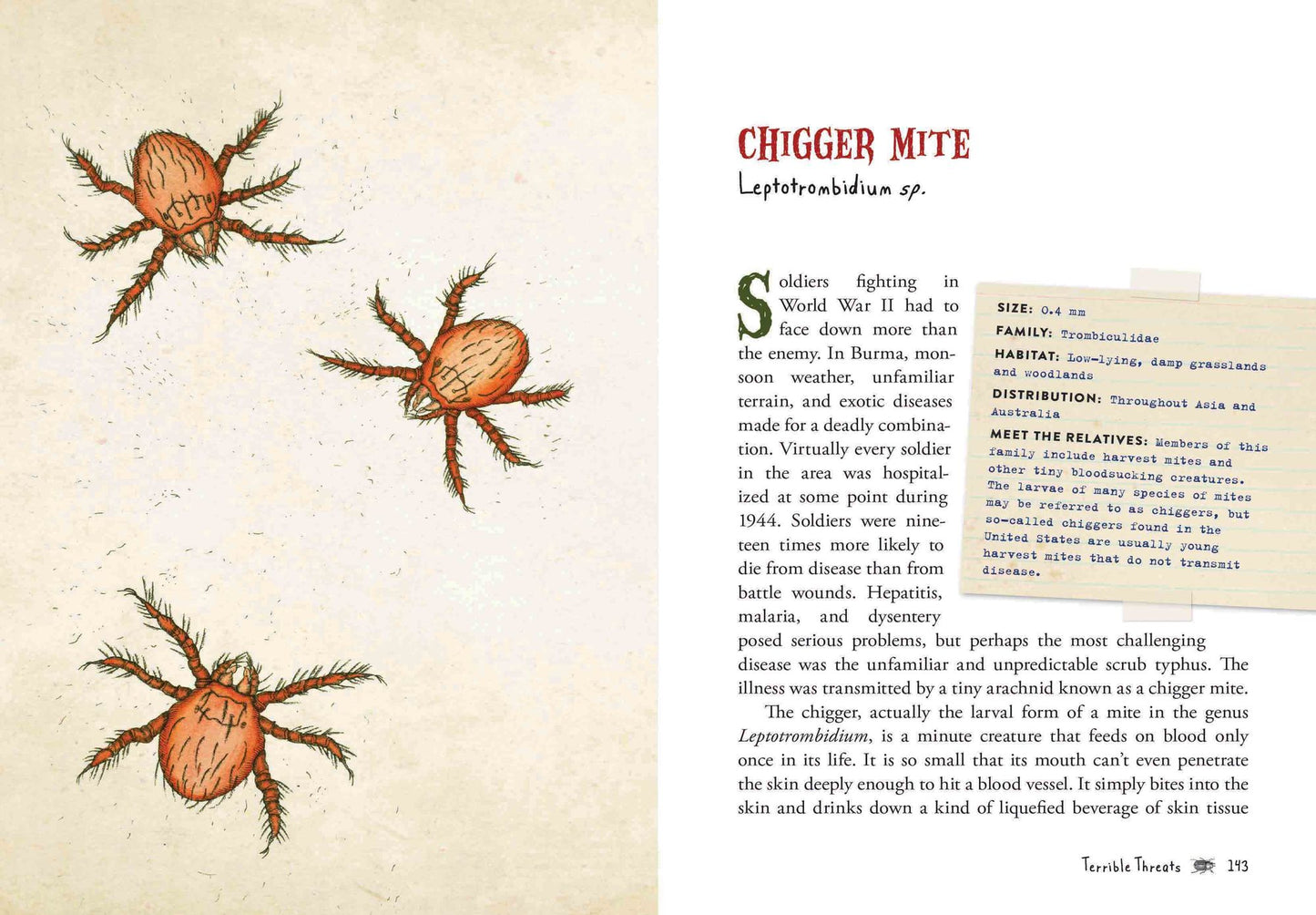 Wicked Bugs (Young Readers Edition): The Meanest, Deadliest, Grossest Bugs on Earth