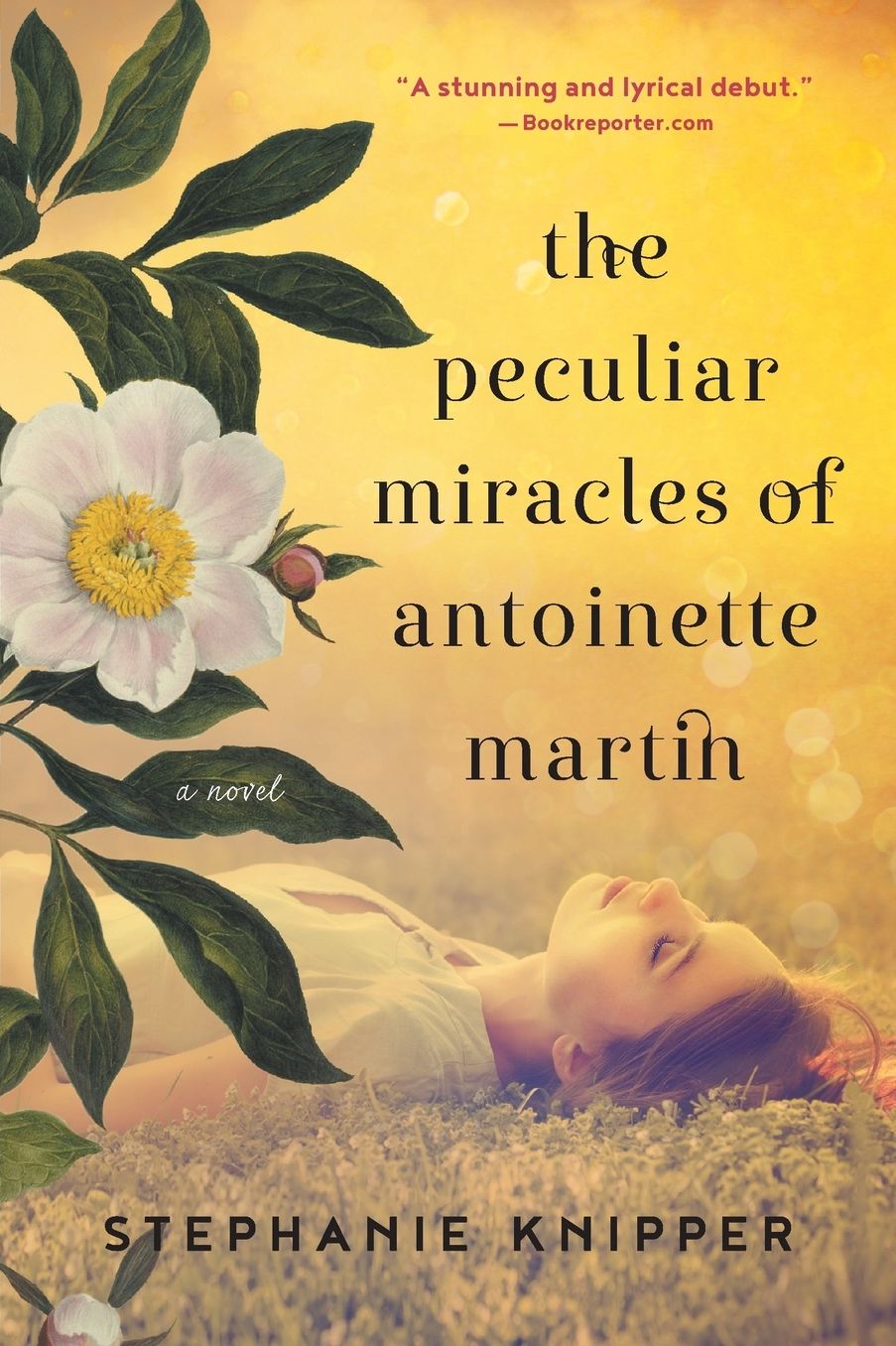 The Peculiar Miracles of Antoinette Martin: A Novel