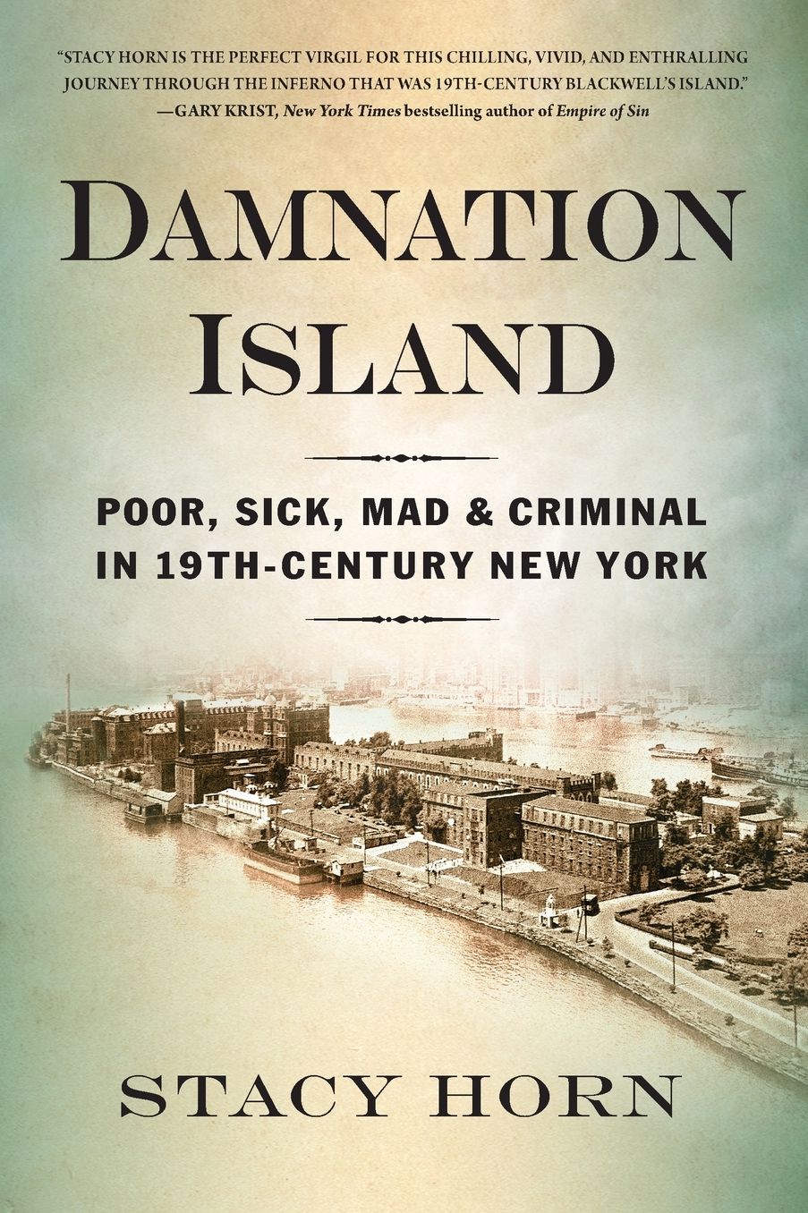 Damnation Island: Poor, Sick, Mad, and Criminal in 19th-Century New York