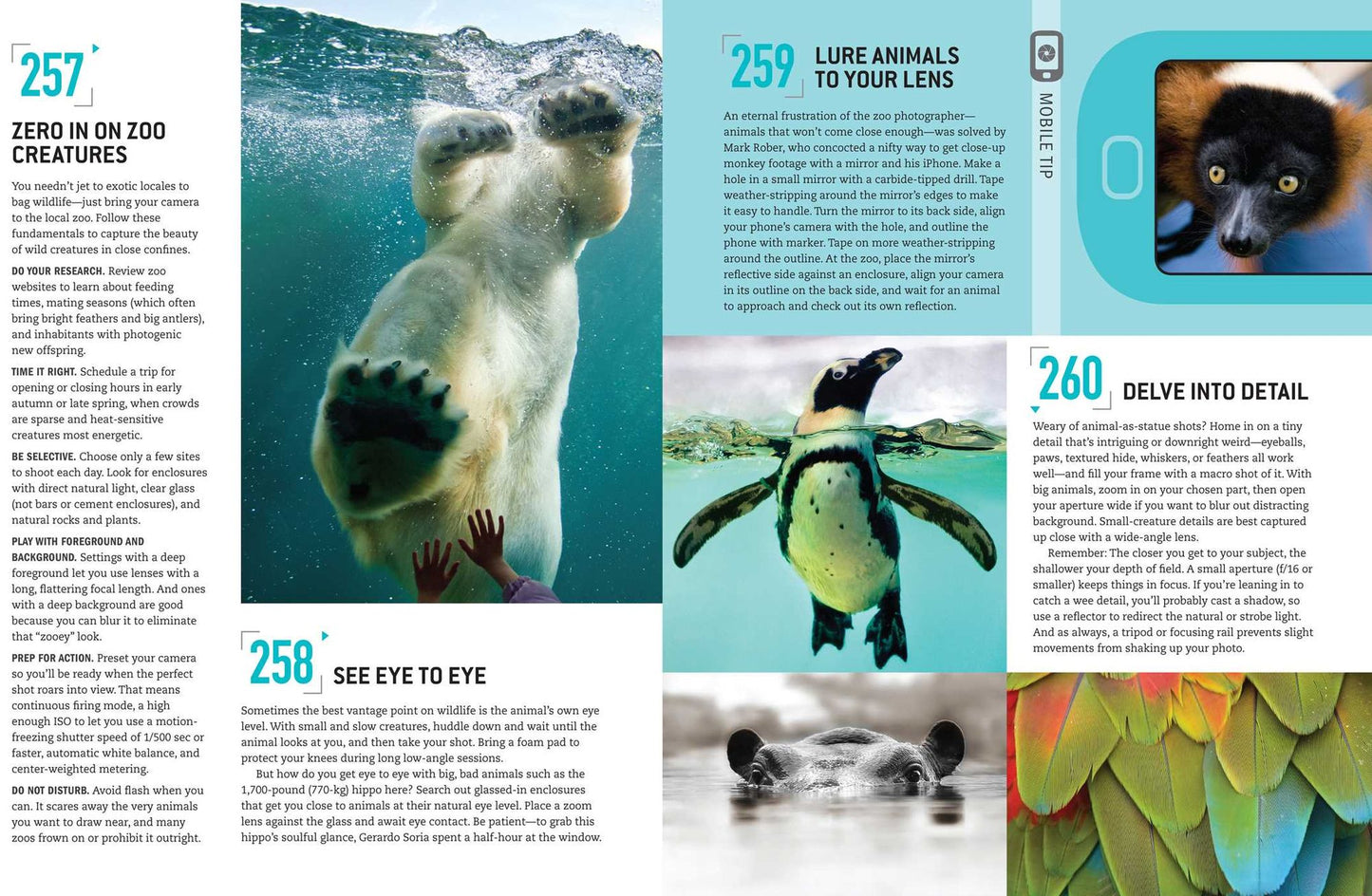 The Complete Photo Manual (Popular Photography): 300+ Skills and Tips for Making Great Pictures