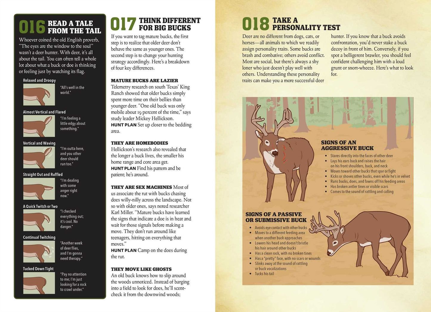 Whitetail Hunting Guide (Field & Stream)
