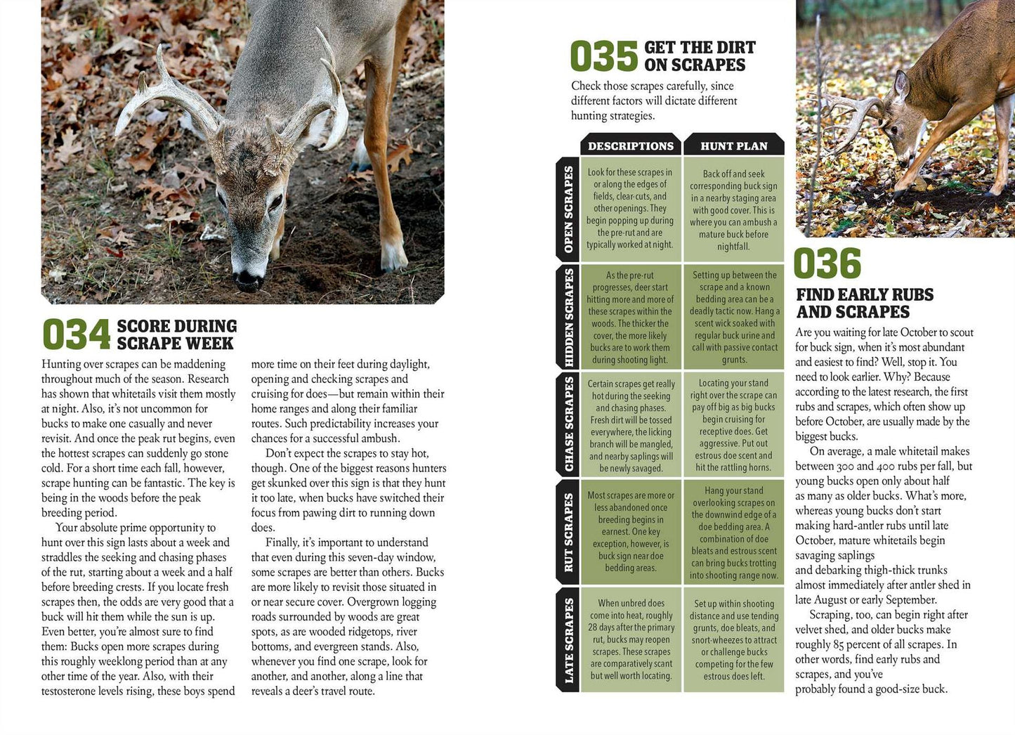 Whitetail Hunting Guide (Field & Stream)