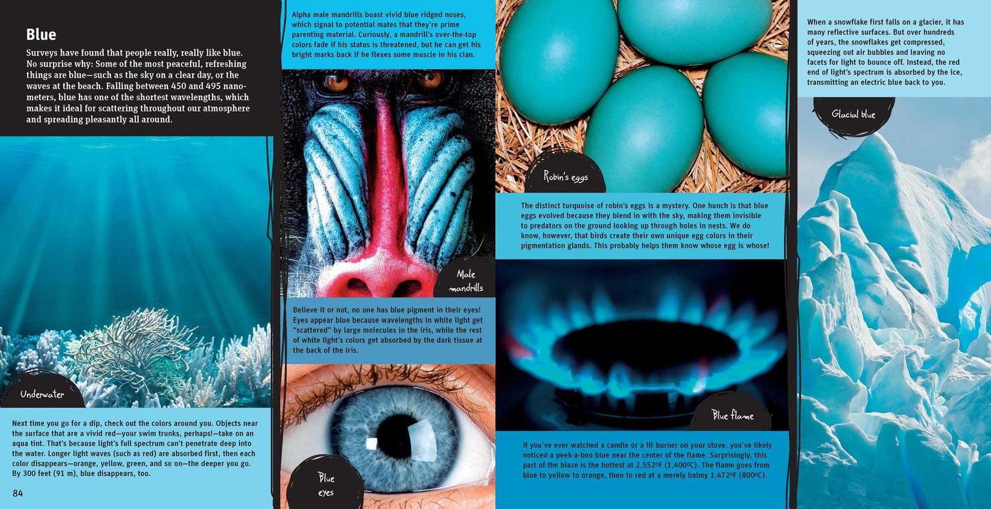 Exploring the Science of Light: 40+ Eye-Opening Investigations