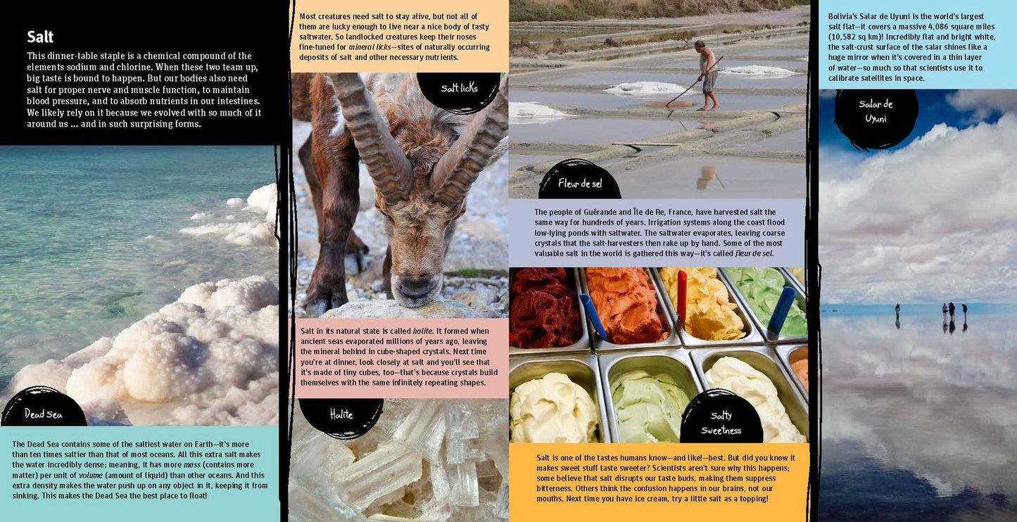 Exploring Kitchen Science: 30+ Edible Experiments and Kitchen Activities