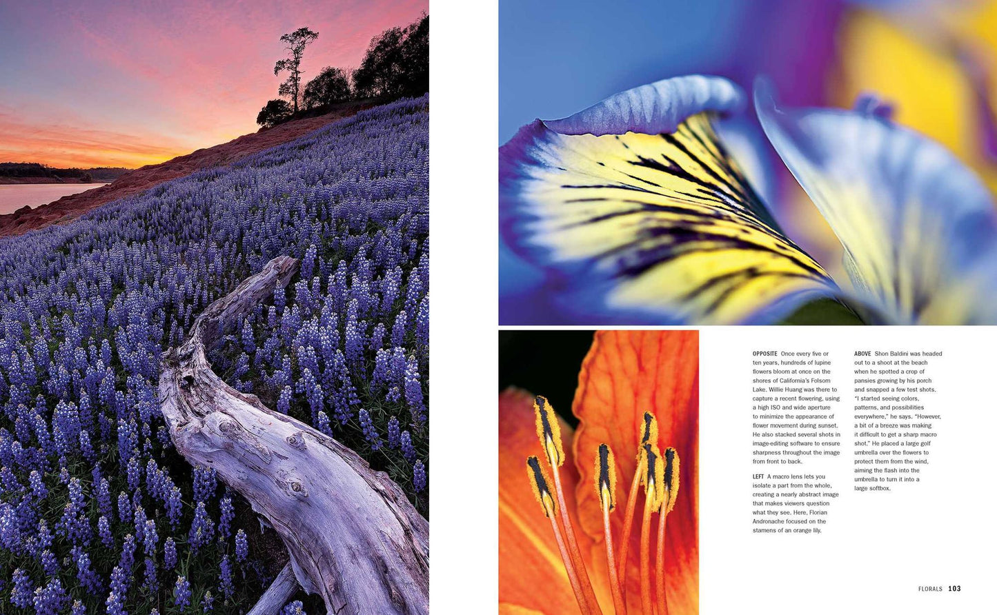 How to Photograph Everything (Popular Photography): Simple Techniques for Shooting Spectacular Images