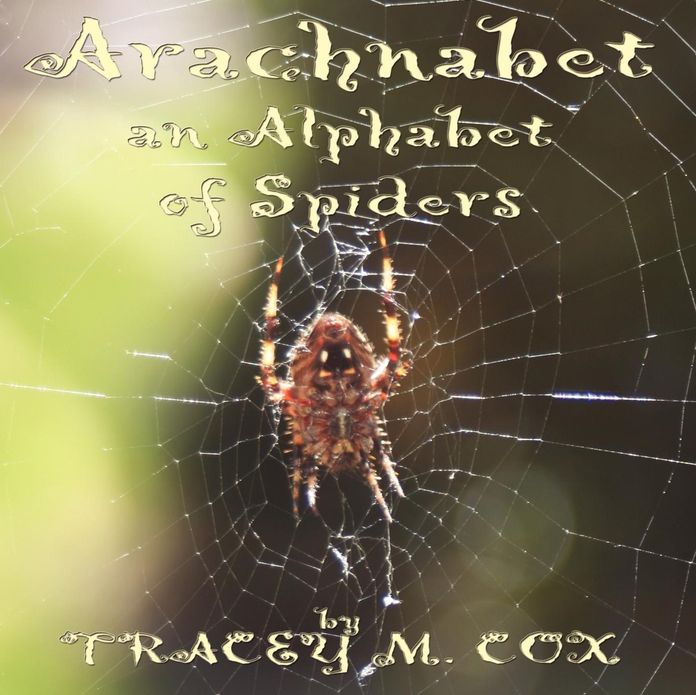 Arachnabet- an Alphabet of Spiders
