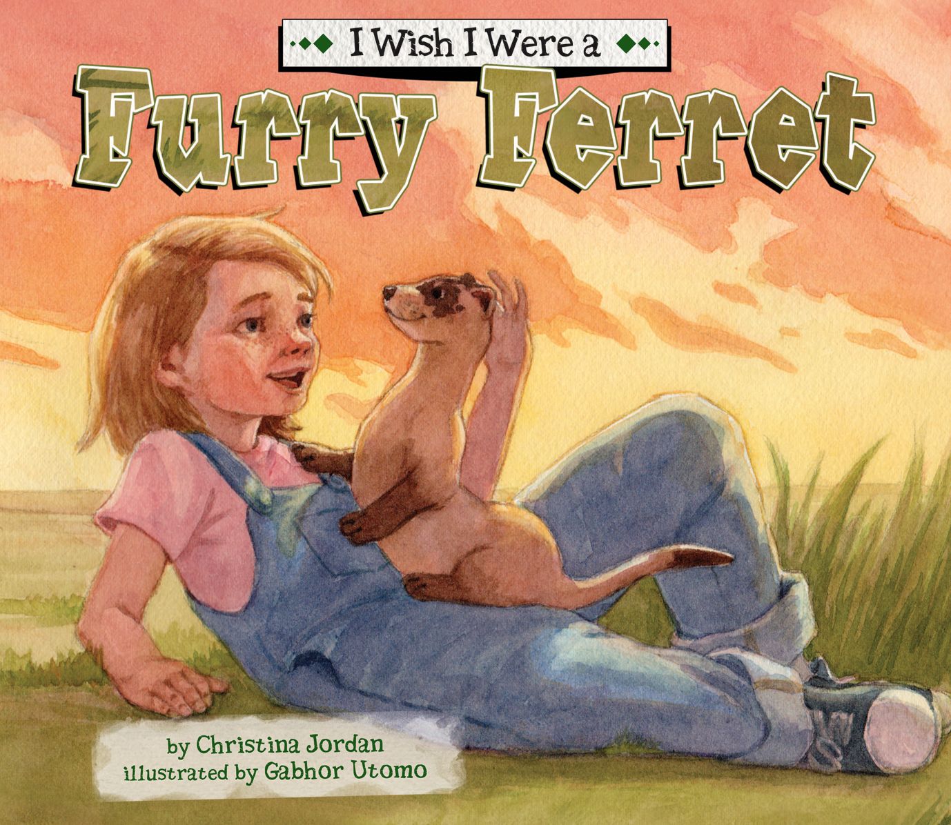 I Wish I Were a Furry Ferret eBook