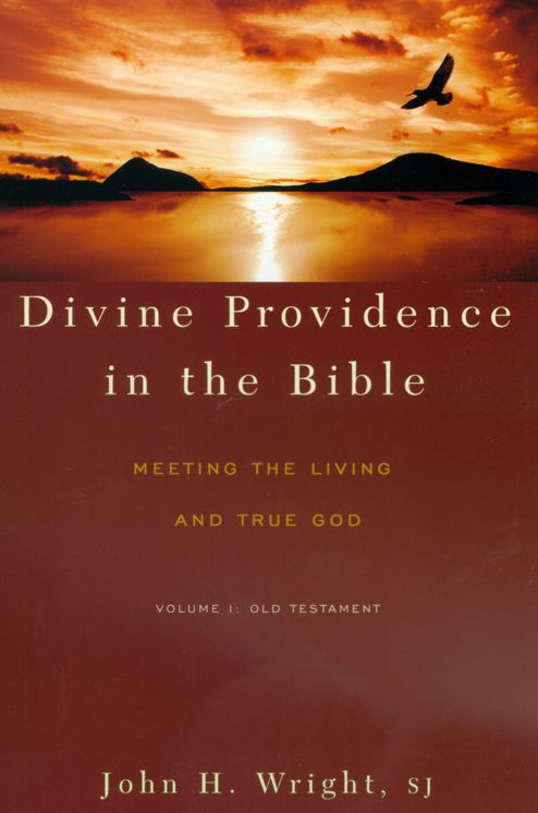Divine Providence in the Bible: Meeting the Living and True God - Volume I: Old Testament