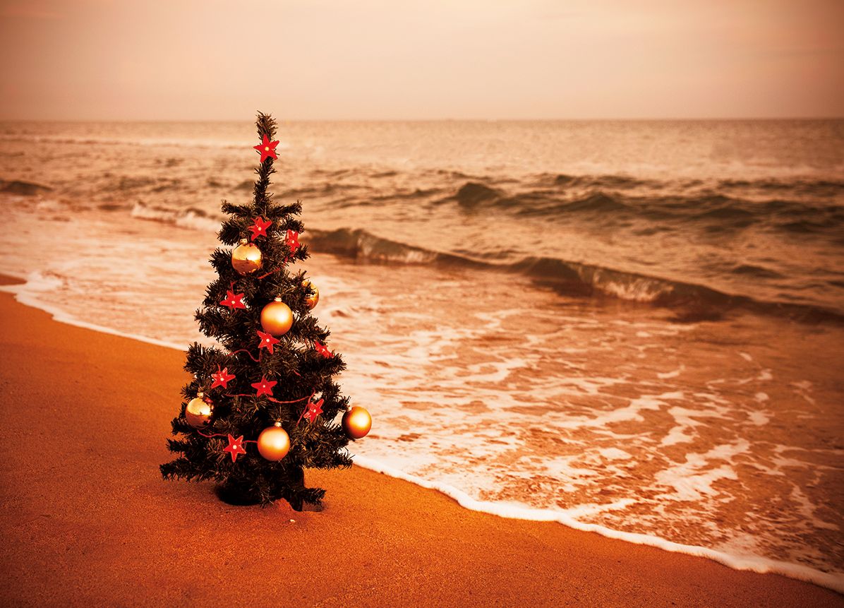Tree On The Beach Christmas Boxed Card