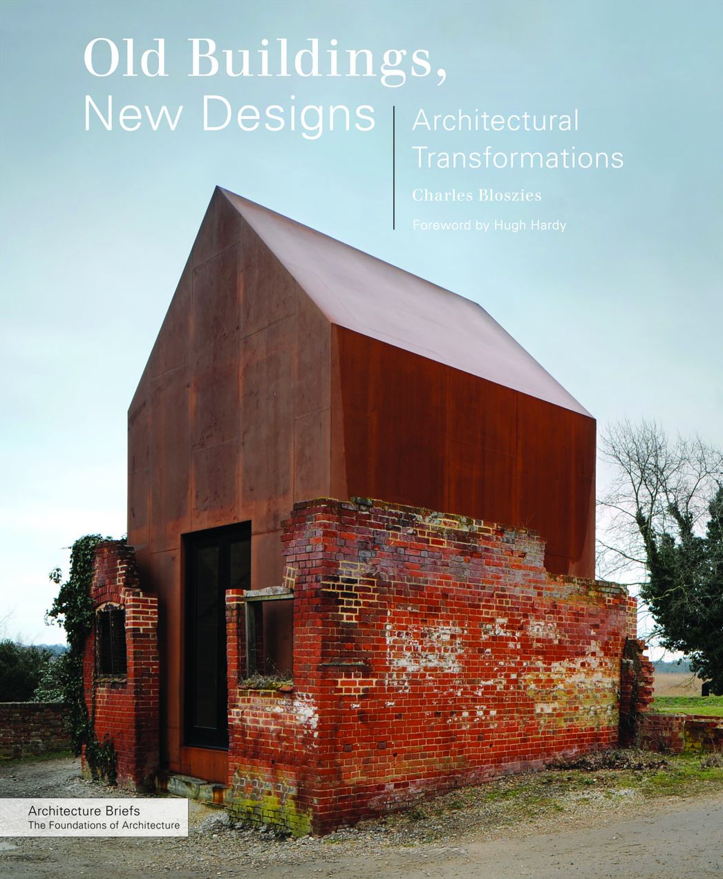 Old Buildings, New Designs: Architectural Transformations