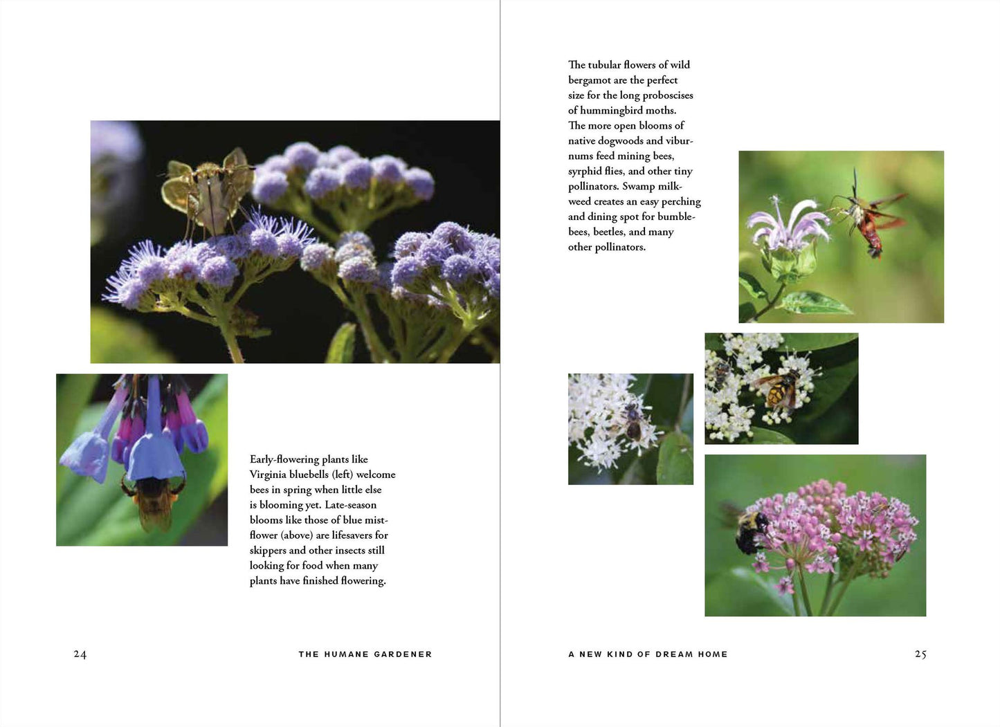 The Humane Gardener: Nurturing a Backyard Habitat for Wildlife
