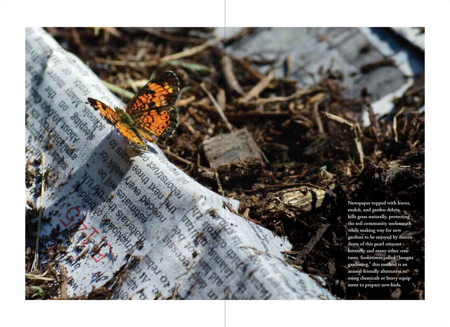 The Humane Gardener: Nurturing a Backyard Habitat for Wildlife