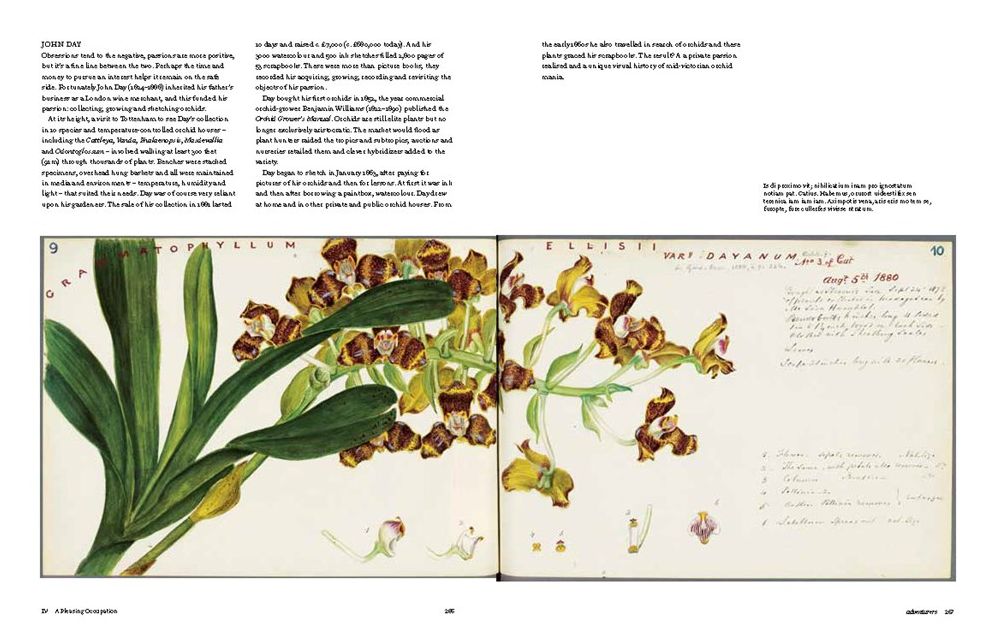 Botanical Sketchbooks