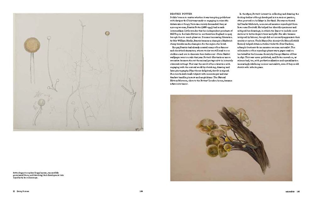 Botanical Sketchbooks