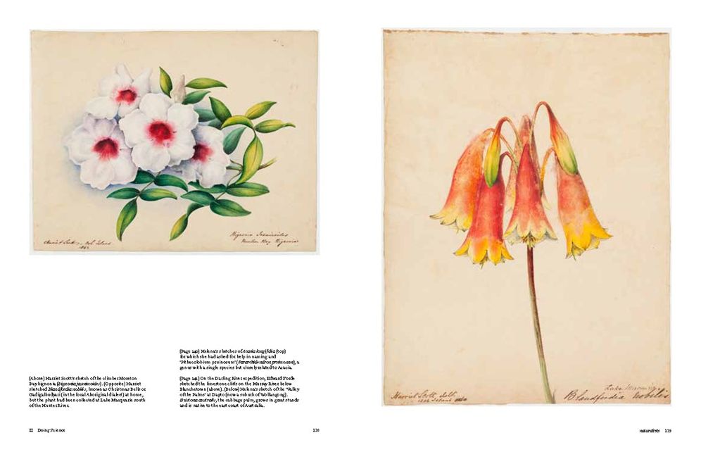 Botanical Sketchbooks