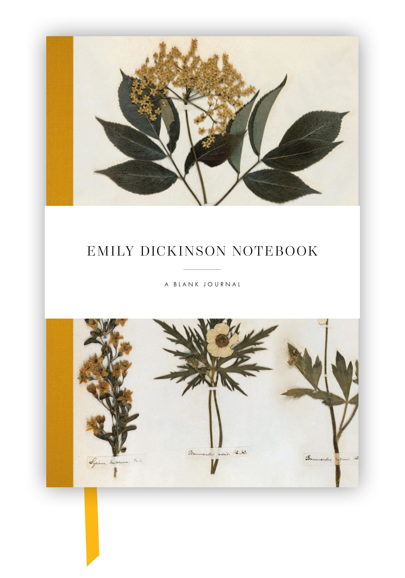 Emily Dickinson Notebook : A Blank Journal Inspired by the Poet's Writings and Gardens