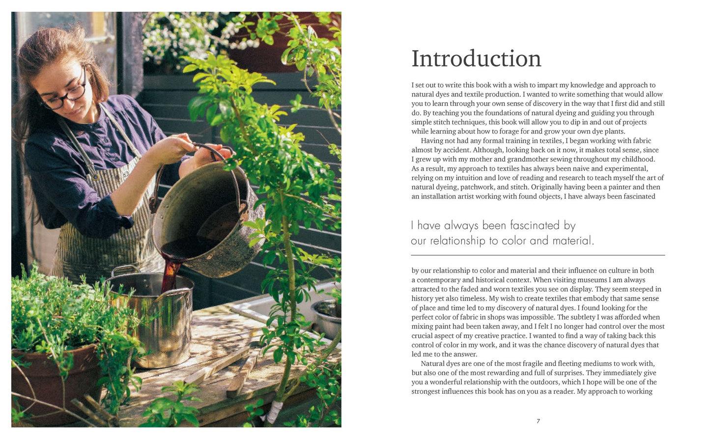 The Wild Dyer : A Maker's Guide to Natural Dyes With Projects to Create and Stitch