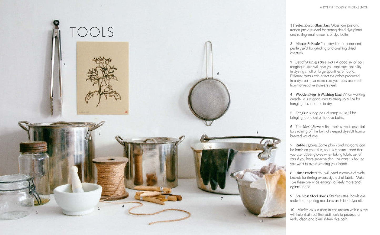 The Wild Dyer : A Maker's Guide to Natural Dyes With Projects to Create and Stitch