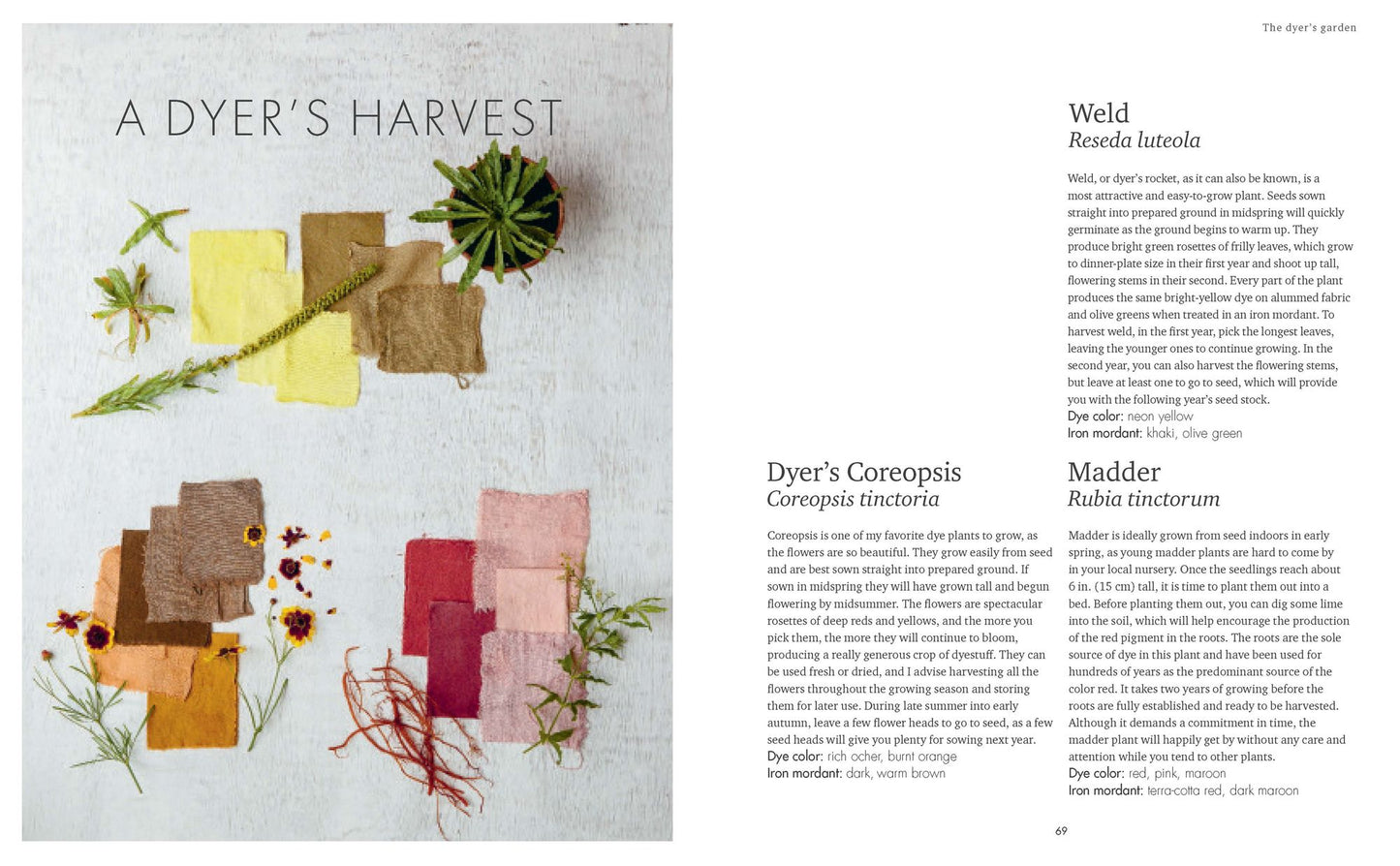 The Wild Dyer : A Maker's Guide to Natural Dyes With Projects to Create and Stitch
