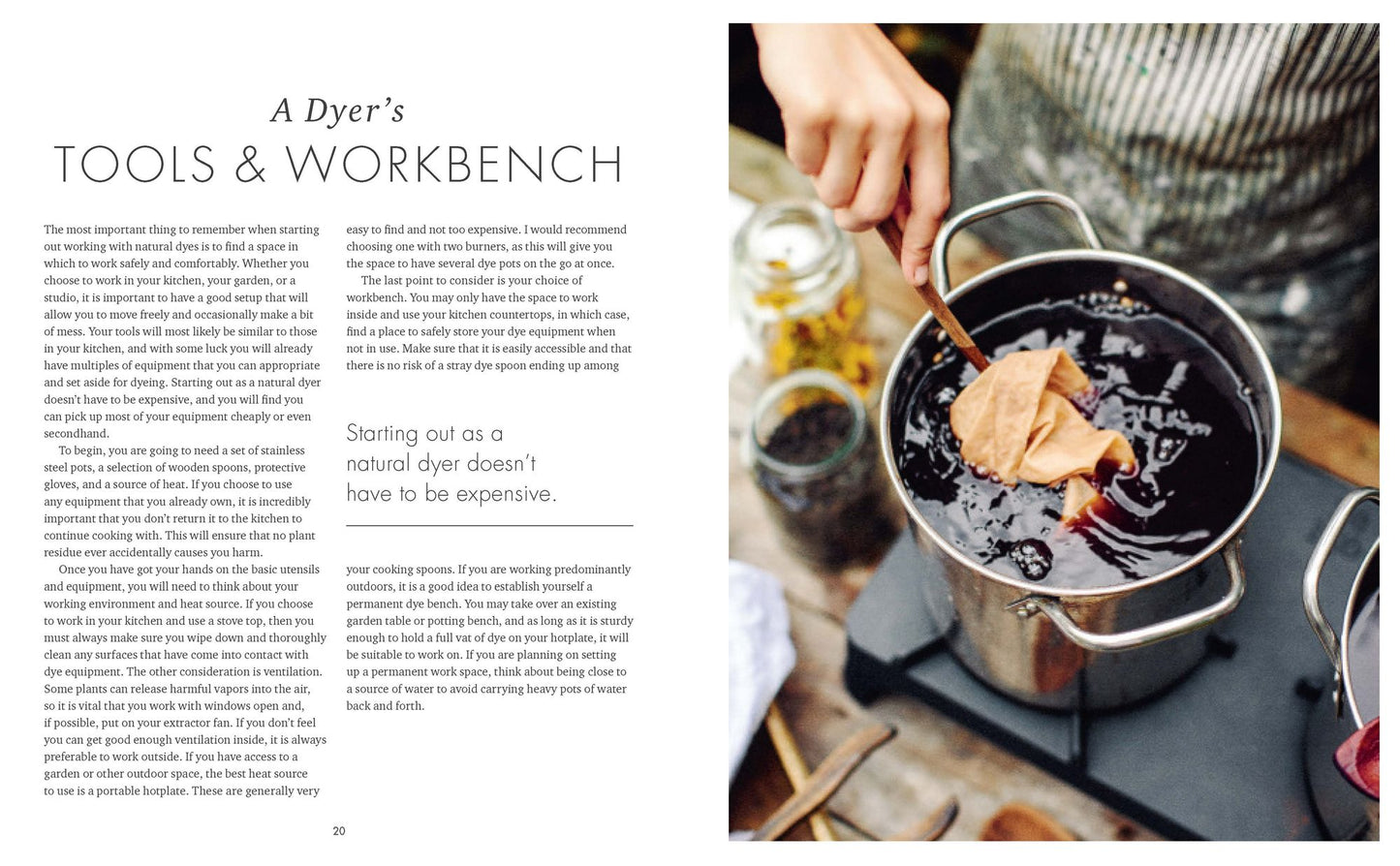 The Wild Dyer : A Maker's Guide to Natural Dyes With Projects to Create and Stitch