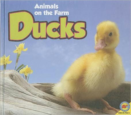 Ducks