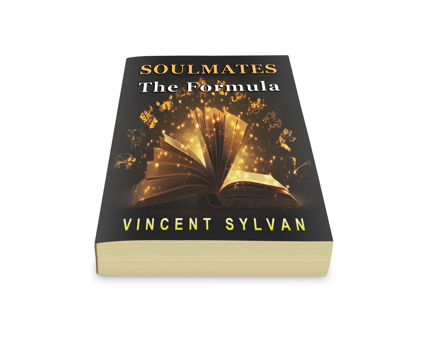 Soulmates, The Formula: A guide to find true love
