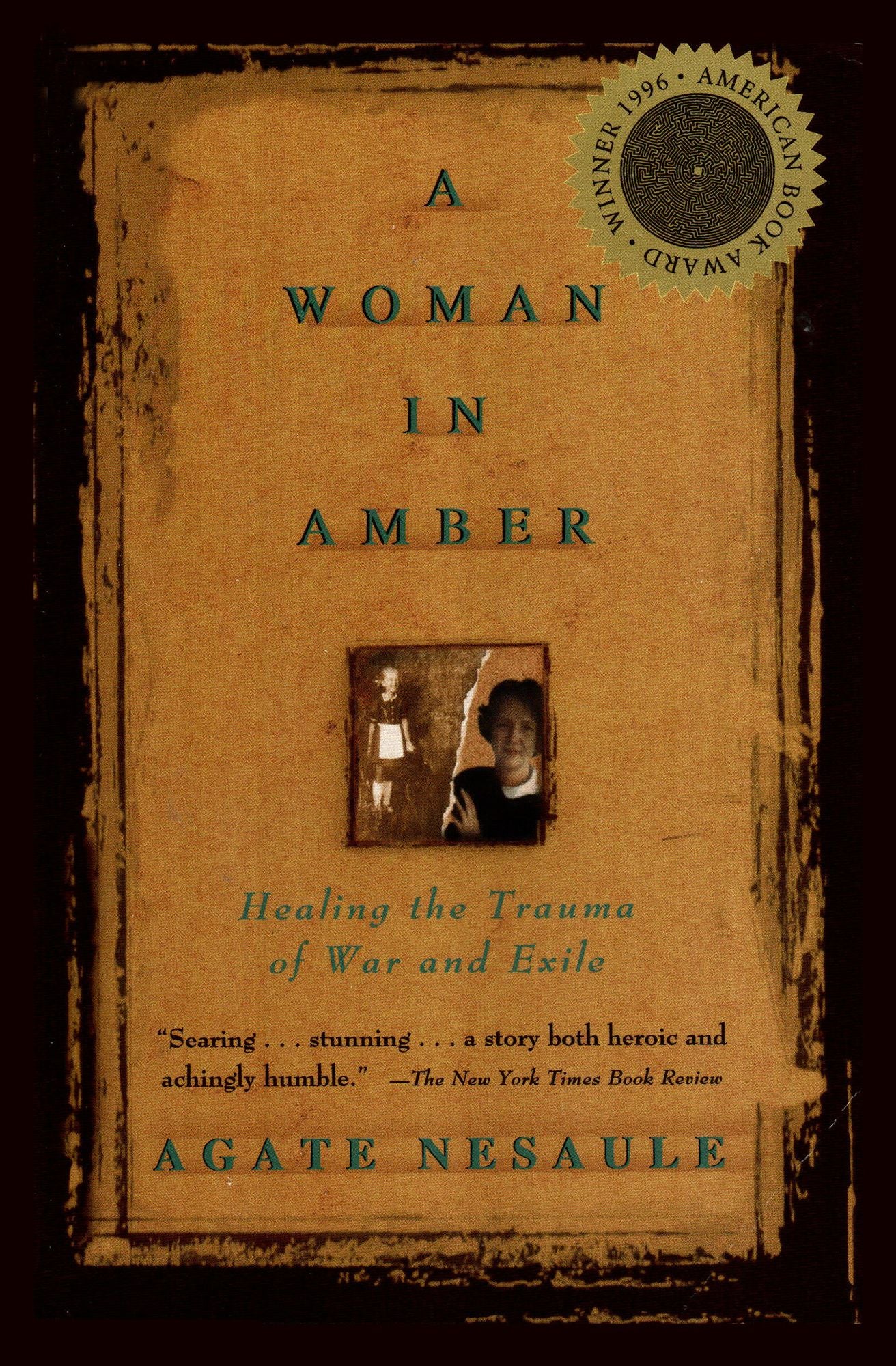 A Woman in Amber: Healing the Trauma of War and Exile