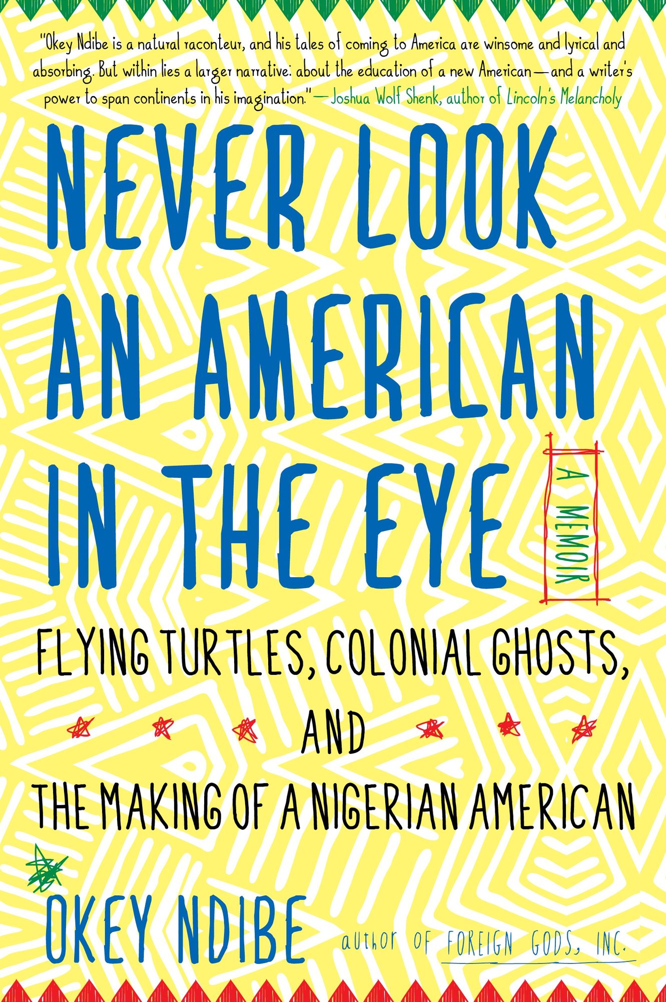 Never Look an American in the Eye: A Memoir of Flying Turtles, Colonial Ghosts, and the Making of a Nigerian Americ an