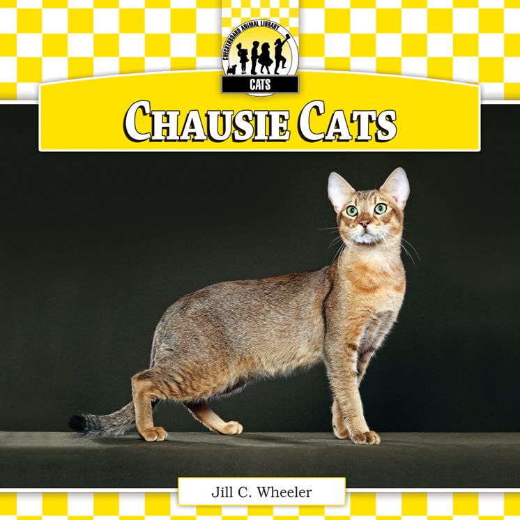 Chausie Cats eBook