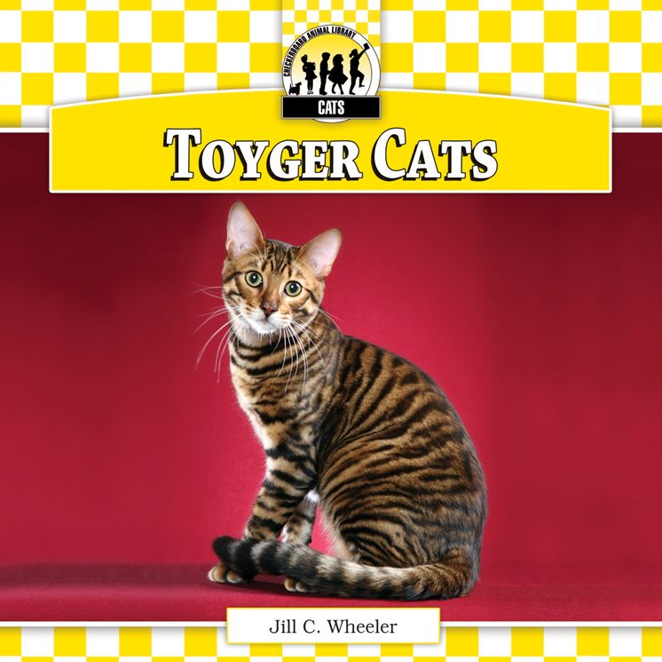 Toyger Cats eBook