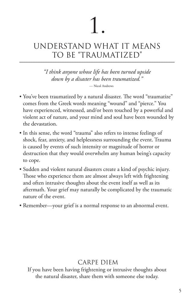 Healing Your Grief When Disaster Strikes: 100 Practical Ideas for Coping After a Tornado, Hurricane, Flood, Earthquake, Wildfire, or Other Natural Disaster