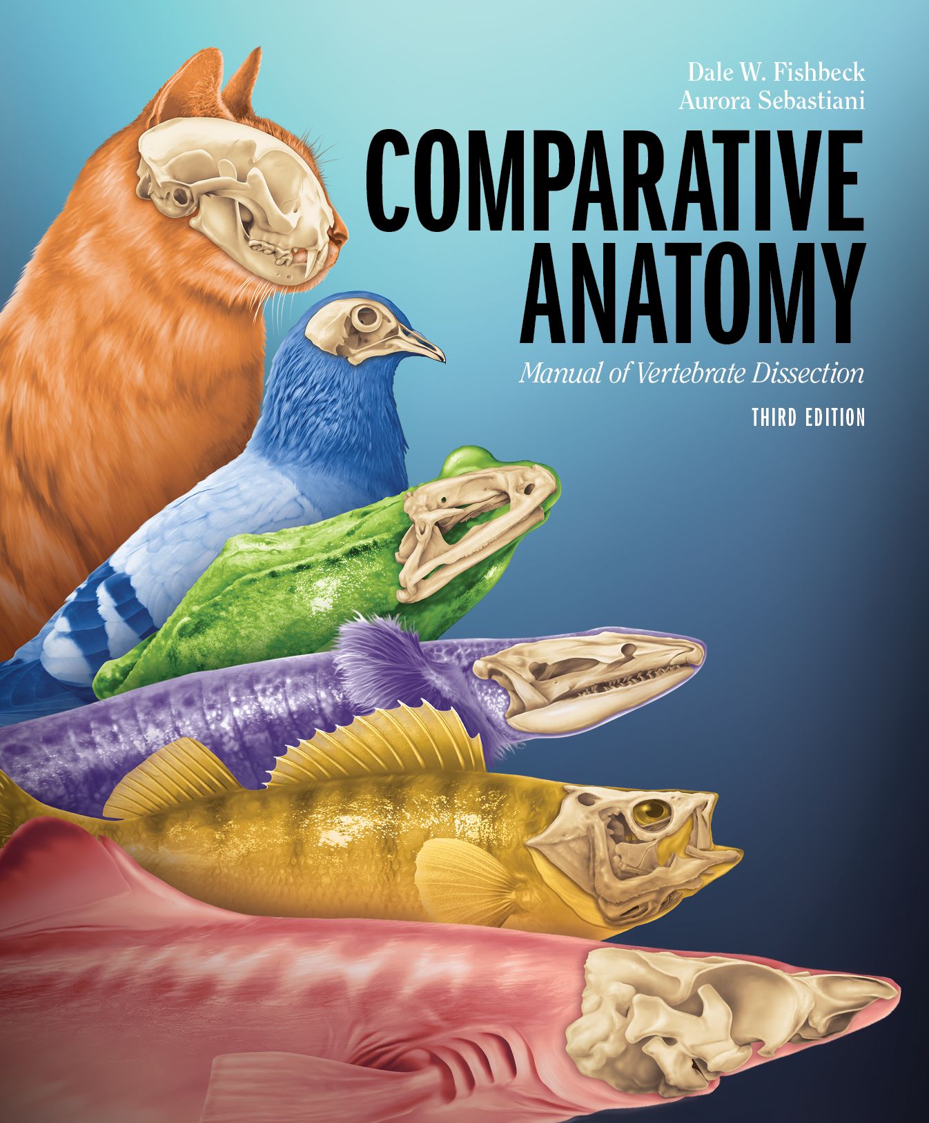 Comparative Anatomy
