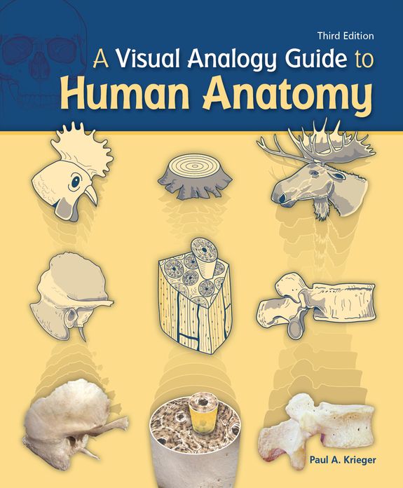 A Visual Analogy Guide to Human Anatomy, Third Edition