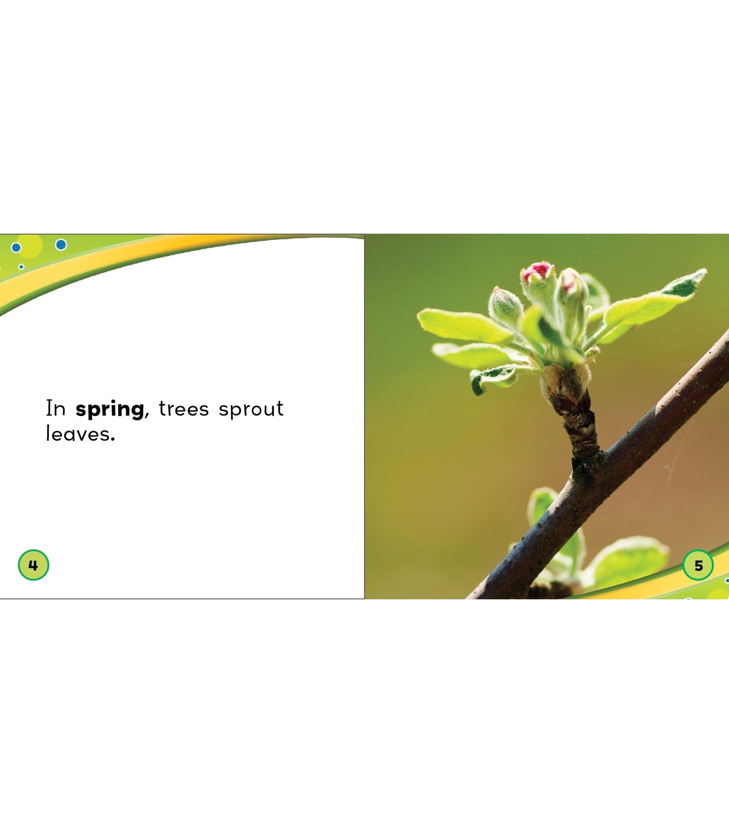 Apple Trees and the Seasons