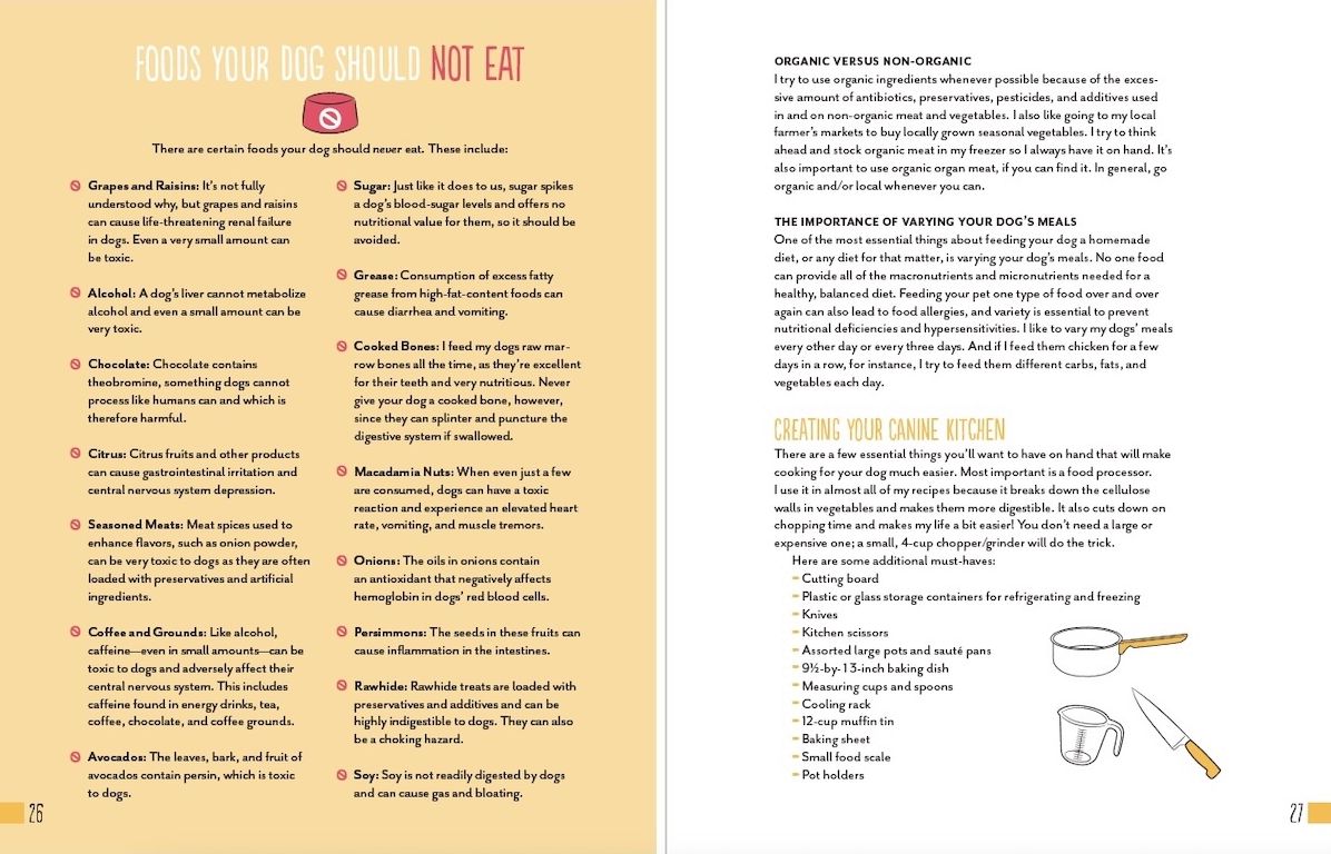 Home Cooking for Your Dog: 75 Holistic Recipes for a Healthier Dog