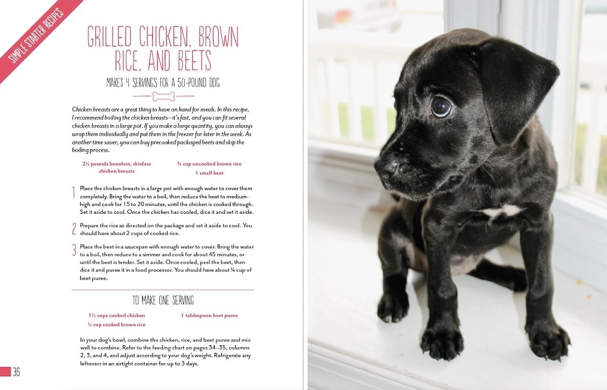Home Cooking for Your Dog: 75 Holistic Recipes for a Healthier Dog