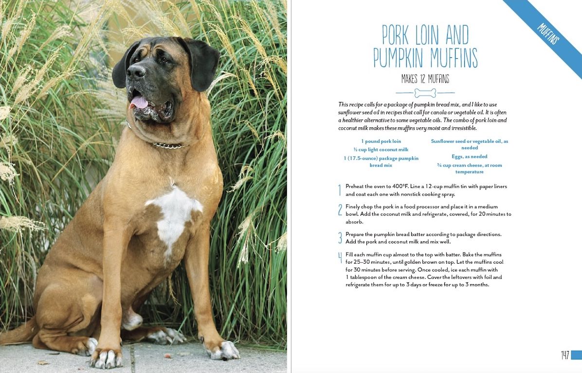 Home Cooking for Your Dog: 75 Holistic Recipes for a Healthier Dog
