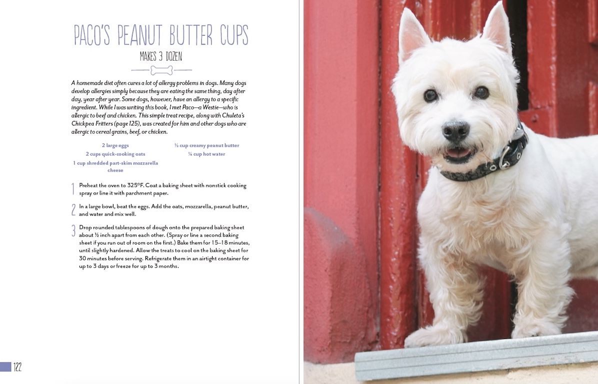 Home Cooking for Your Dog: 75 Holistic Recipes for a Healthier Dog
