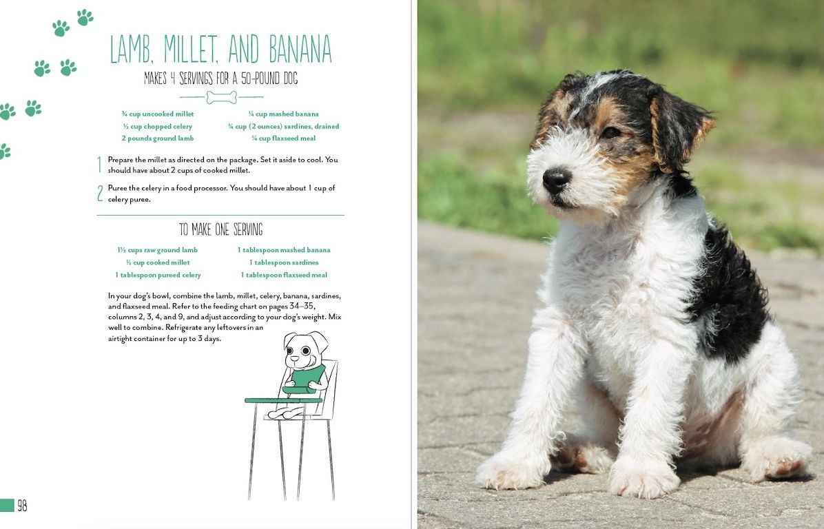 Home Cooking for Your Dog: 75 Holistic Recipes for a Healthier Dog