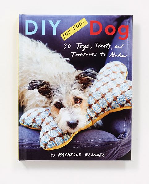 DIY for Your Dog: 30 Toys, Treats, and Treasures to Make