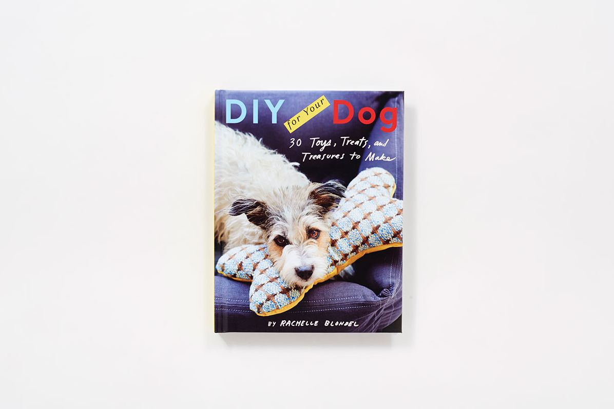 DIY for Your Dog: 30 Toys, Treats, and Treasures to Make