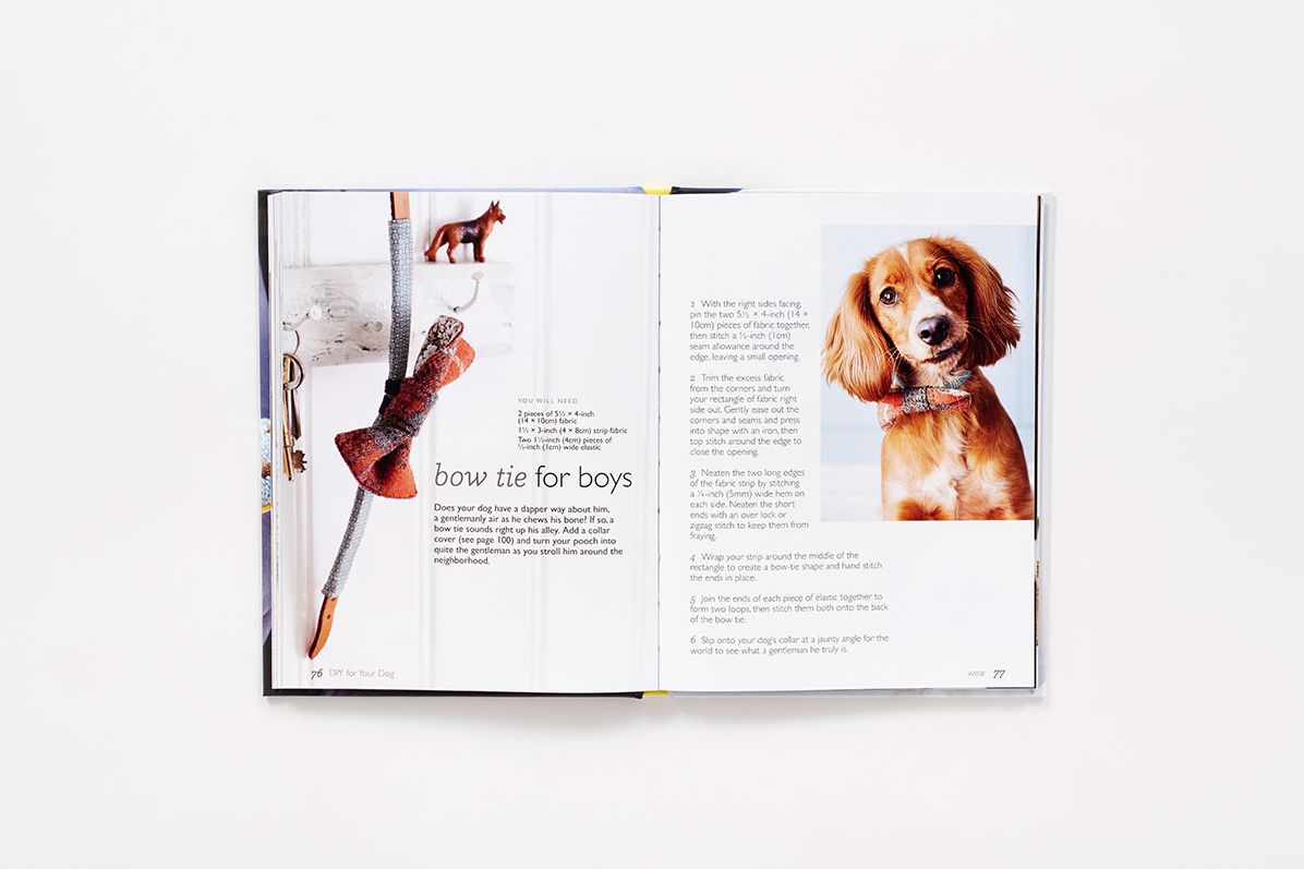 DIY for Your Dog: 30 Toys, Treats, and Treasures to Make