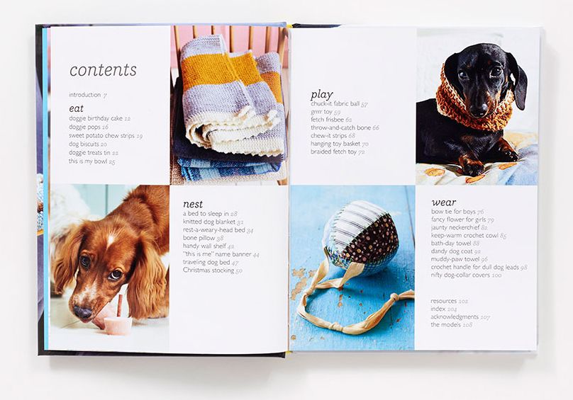 DIY for Your Dog: 30 Toys, Treats, and Treasures to Make