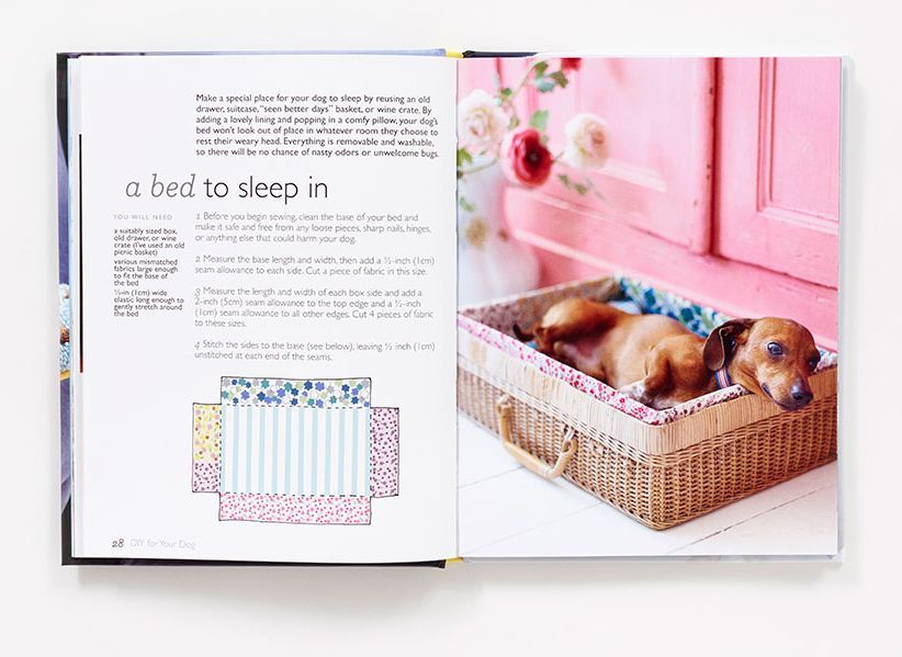 DIY for Your Dog: 30 Toys, Treats, and Treasures to Make