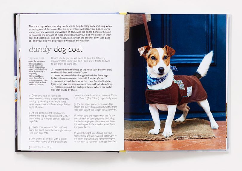 DIY for Your Dog: 30 Toys, Treats, and Treasures to Make